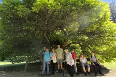 Szombathely_20260918-20-10